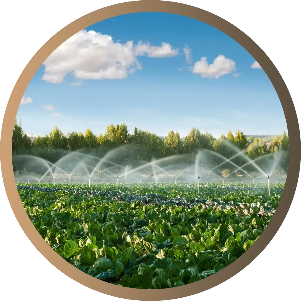 watering-farm-resize